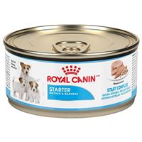 Royal Canin® Starter Mousse 5.8 oz. 111978