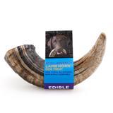 Icelandic+ Lamb Horn Dog Treat I015385b