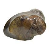 RedBarn® Naturals™ Meaty Knuckle Bone Dog Treat 10 oz. Z78518442001