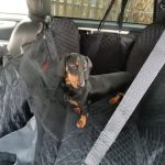 Happy Dog Car Seat Cover photo review