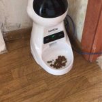 Happy Dog Auto Feeder Dispensers photo review