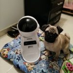 Happy Dog Auto Feeder Dispensers photo review