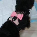 Happy Dog Reflective Harness photo review