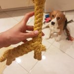 Happy Dog Cotton Rope Toys photo review